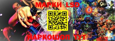 шишки Будённовск