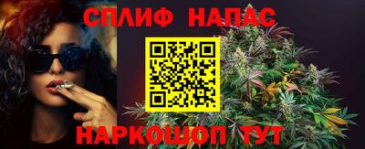 шишки Будённовск