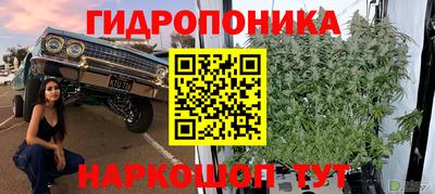 jwh Бугуруслан