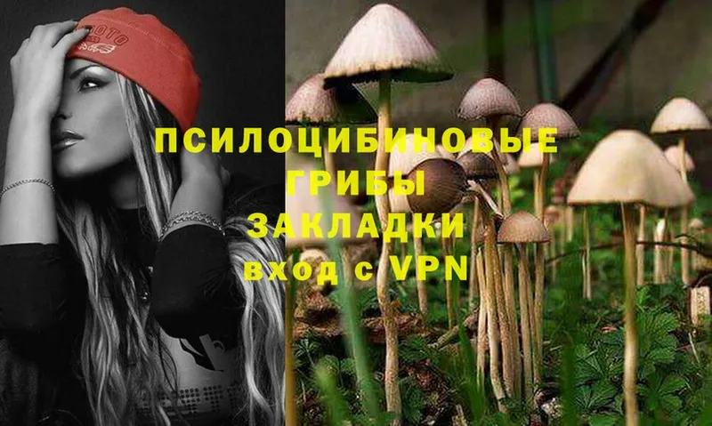 omg рабочий сайт  Сыктывкар  Галлюциногенные грибы Psilocybe 