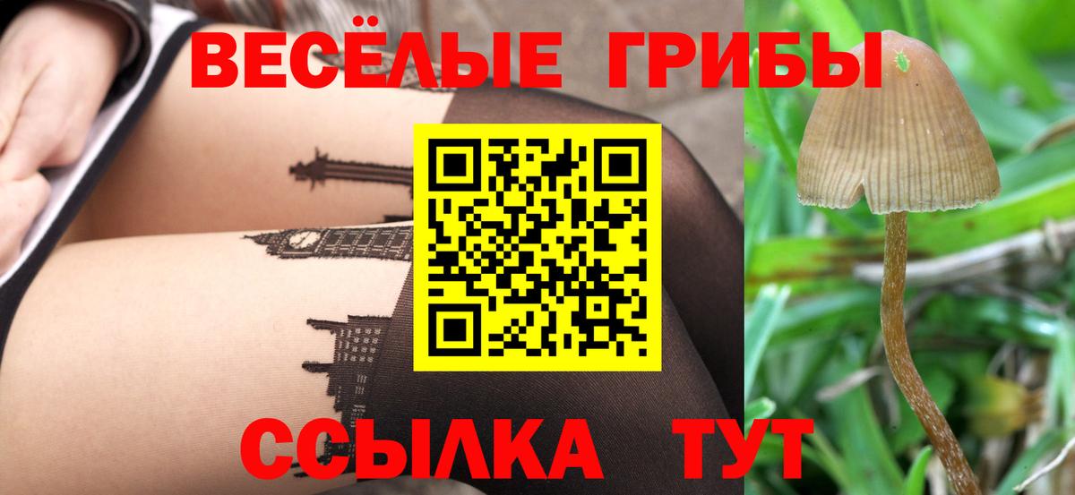 Сыктывкар  Псилоцибиновые грибы Psilocybe  Вход с VPN  Галлюциногенные грибы мицелий 