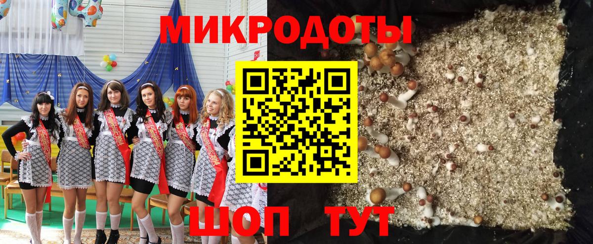 Галлюциногенные грибы мухоморы Сыктывкар